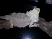20130801_110440.jpg