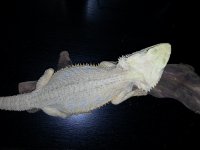 20130801_111005.jpg