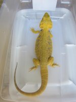 562474_452299184855400_1234626966_n.jpg