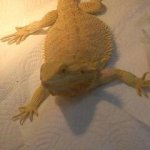 IMG_20120410_004504-1-1.jpg