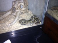 IMG_0744.jpg