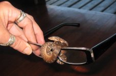 Candoia glasses (13).jpg
