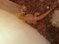 20130812_105947.jpg