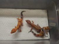 20130721_194036.jpg