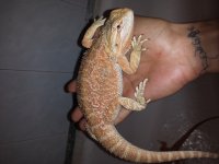 20130515_120547.jpg