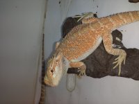 20130513_192414.jpg