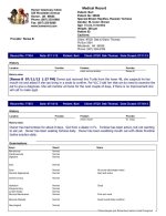 vet report pg1.jpg