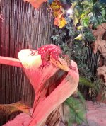 20130723_160528-1.jpg