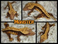 monsterbanner.jpg