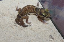 IMG_7328.jpg
