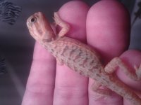 20130627_164727.jpg