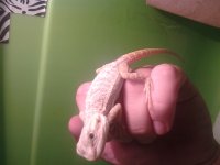 20130627_165034.jpg