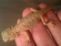 20130627_160726.jpg