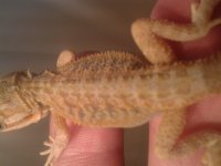 20130627_161237.jpg