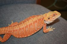 IMG_8817.jpg