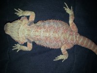 20130109_213305.jpg
