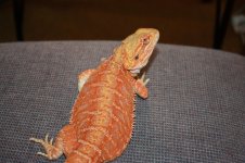 IMG_8818.jpg
