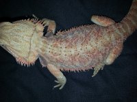 20130109_213220.jpg