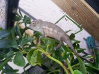 20130627_170340.jpg