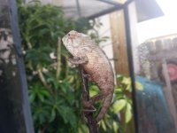 20130627_170046.jpg