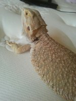 2013061295192902.jpg