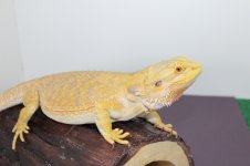 IMG_0359.jpg