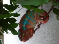 2012-05-03 19.23.15.jpg
