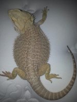 2013061295192844.jpg