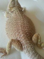 2013061295192828.jpg