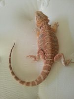 20130612_164226.jpg