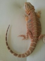 20130612_164228.jpg
