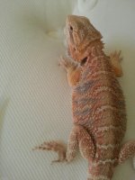 2013061295164231.jpg