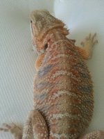 2013061295164233.jpg