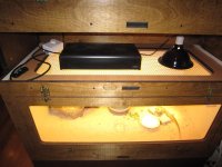 IMG_1059a.jpg