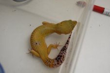 DSC_2102.JPG