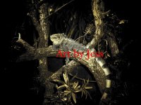 iguanatoonc.jpg