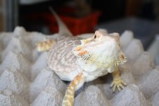 IMG_8053.jpg