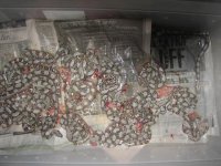 023.JPG