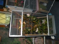 DSCN8483.jpg