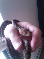 IMG00018-20100415-1325.jpg