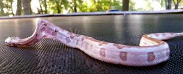 20130612_193714.jpg