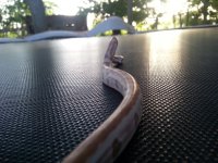 20130612_193659.jpg