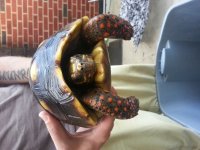 20130805_190046.jpg