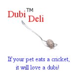 logo.jpg