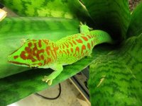 IMG_1678.jpg