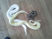20130207_094428.jpg