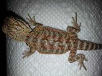 20130712_104009.jpg