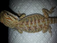 20130712_103400.jpg
