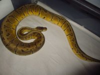IMG_1567.jpg