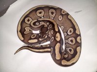 20130710_204344.jpg